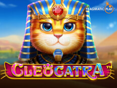 Cats casino. Casino free online slots.51